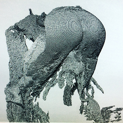 Interrupted 3D scan by artist Paul Coombs